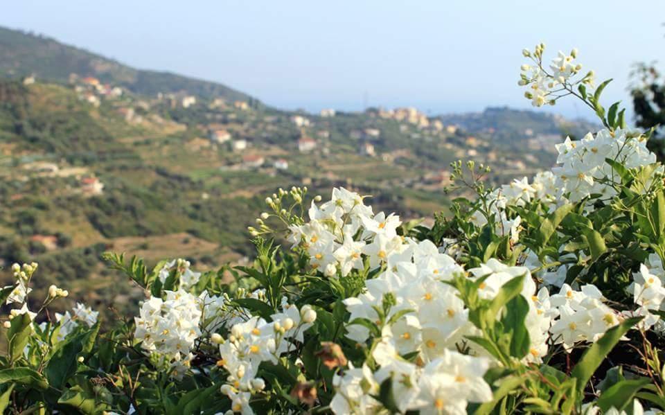 Agriturismo da Luì Bordighera Esterno foto